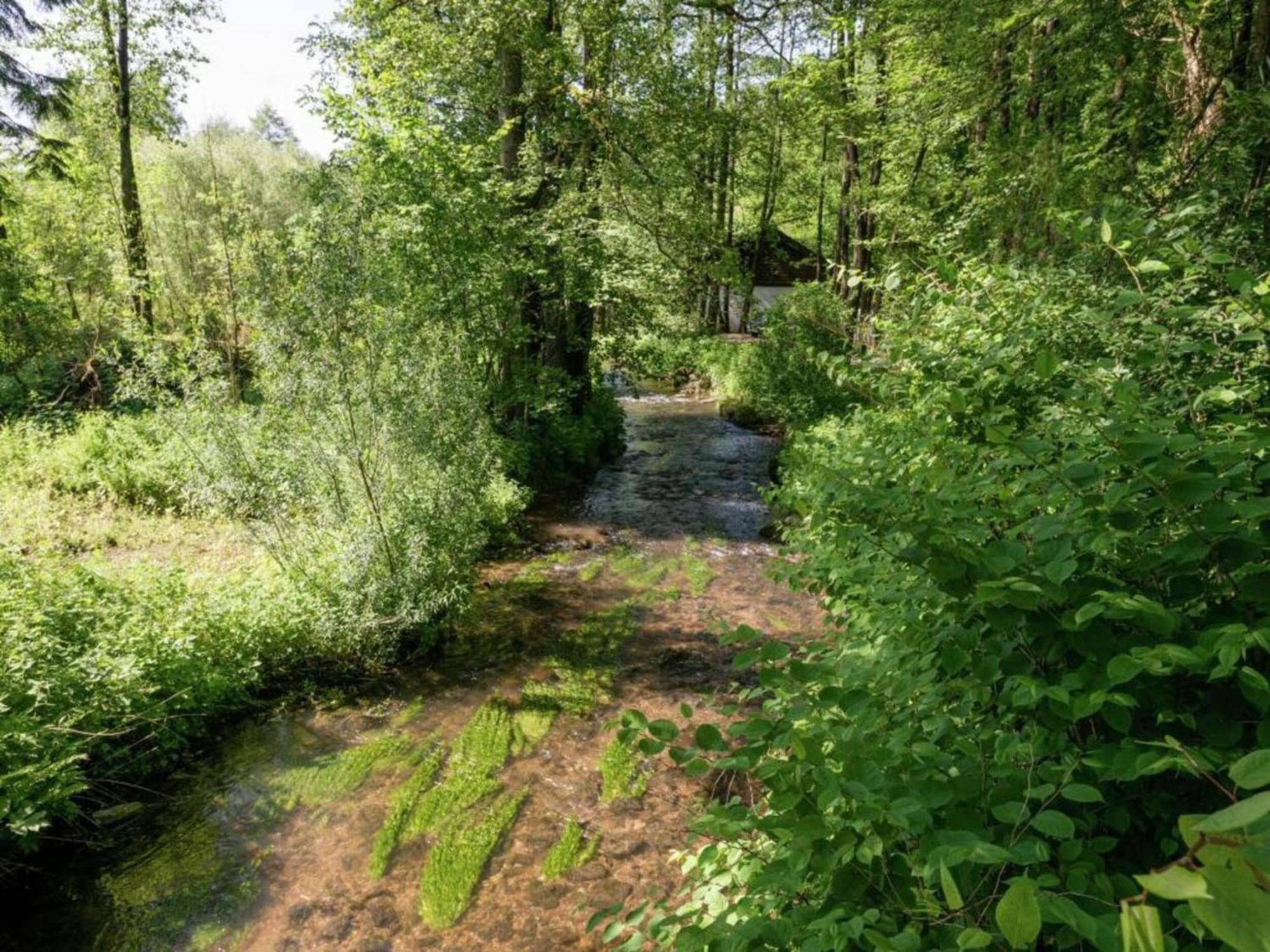 Charming Holiday Home In Malmedy With Sauna Экстерьер фото